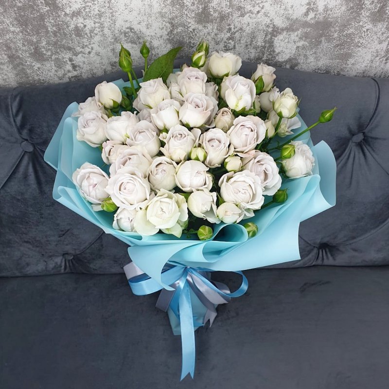 Сильвер Бабблс (Silver Bubbles)