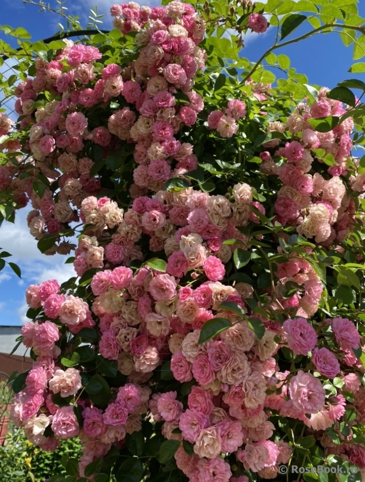 Утигорд Фоллс (Utigord Falls)