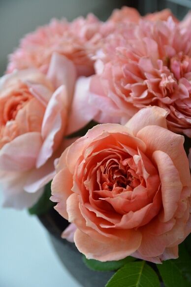 Мулен де ла Галетт (Moulin de la Galette)