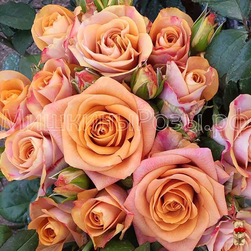 Симбол (Symbol)