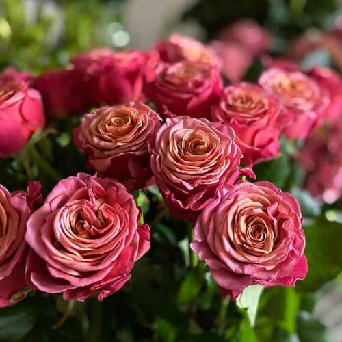 Сингл Малт (Single Malt