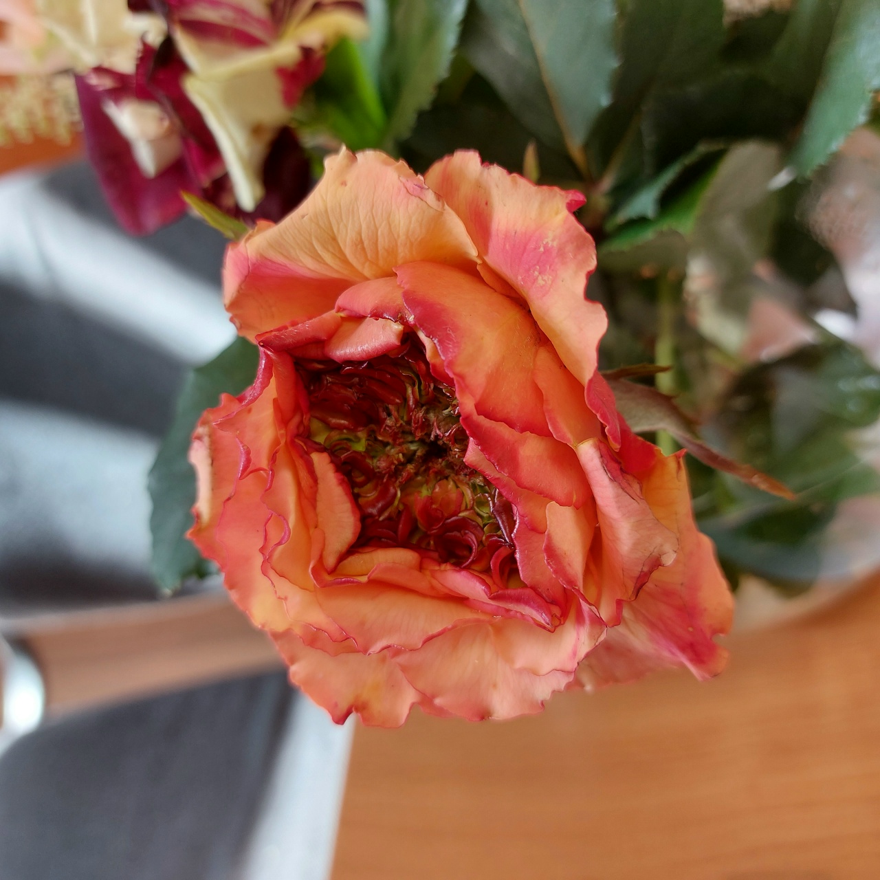 Хищник (Carnivore)