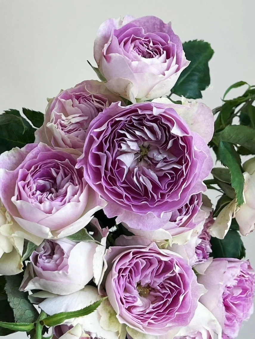 Блу Мун Стоун (Blue Moon Stone)