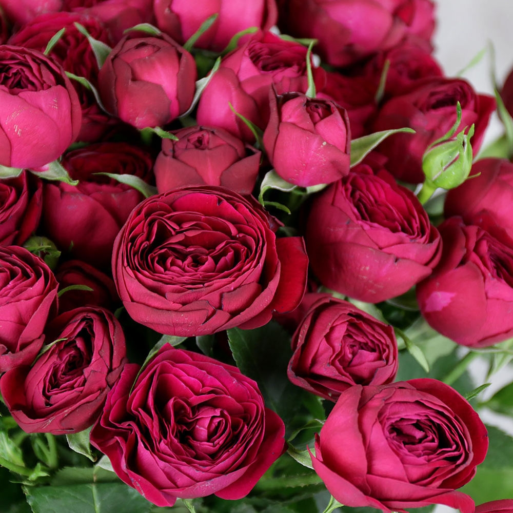 Руби Бижу (Ruby Bijoux