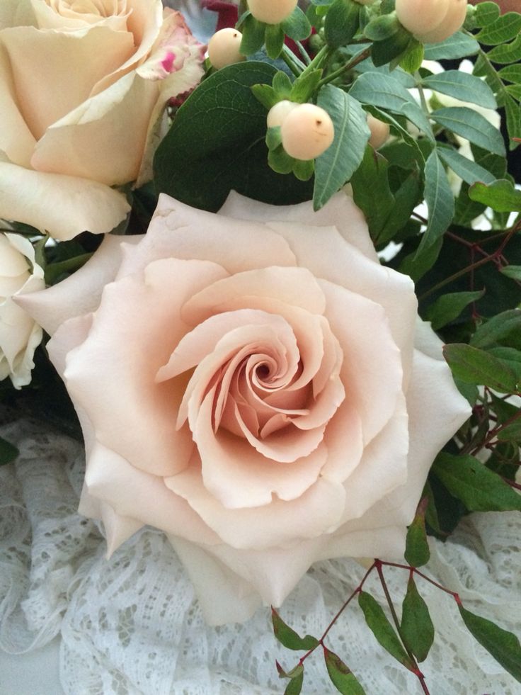 Квиксанд (Quicksand)