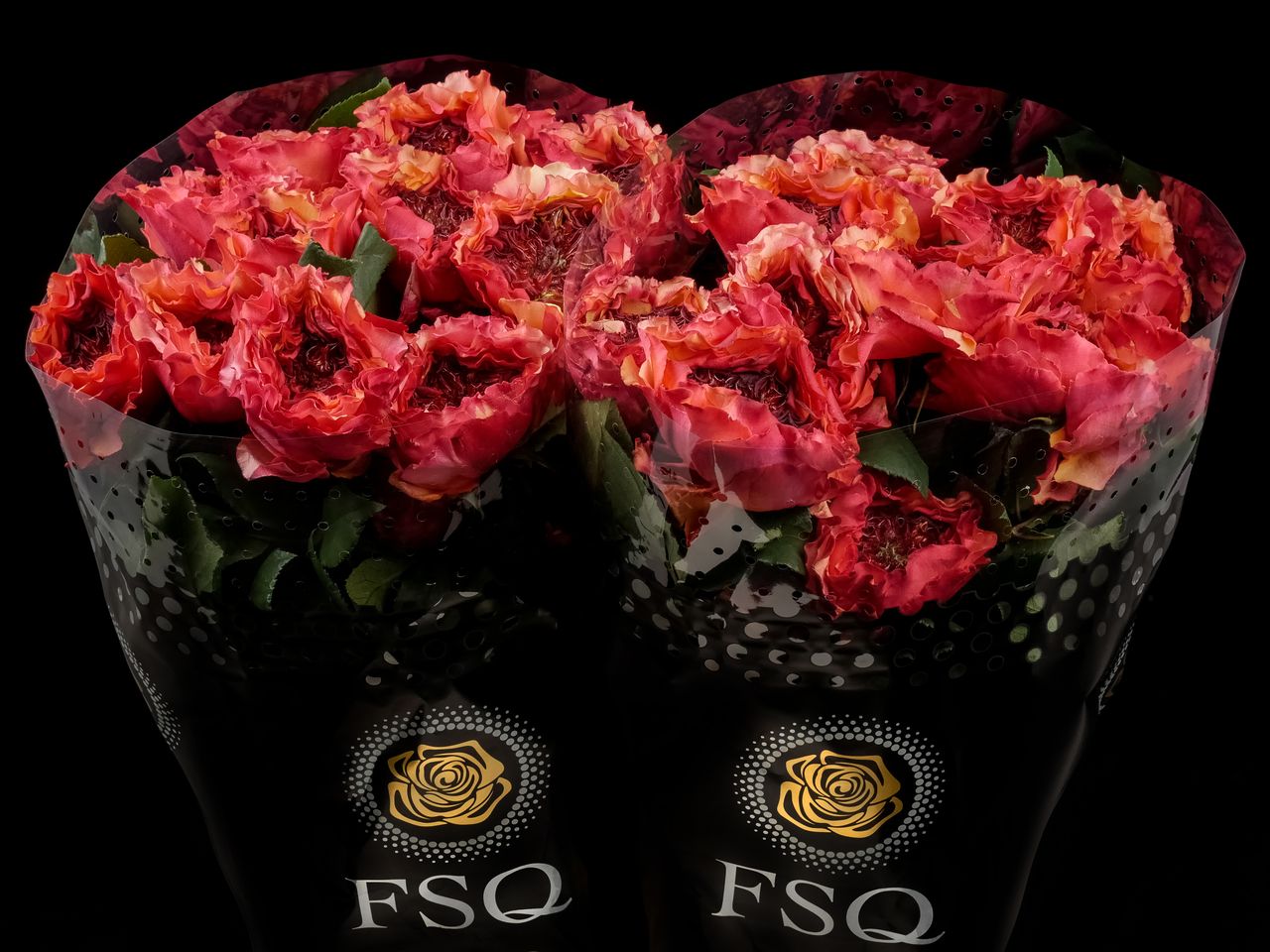 Хищник (Carnivore)