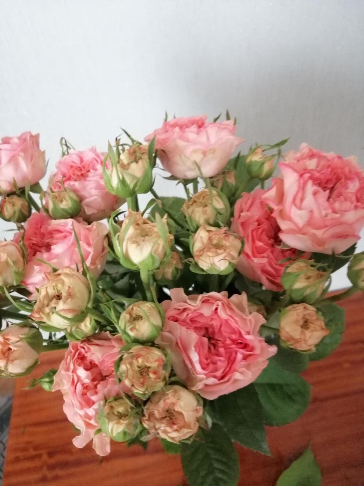 Бабушка Finest Мэри (Grandma’s Finest Mary)