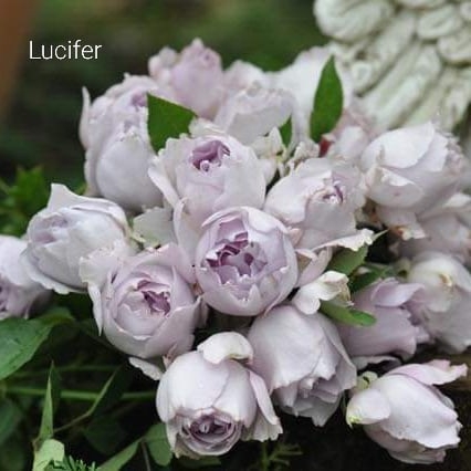 Люцифер, Lucifer,