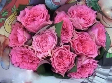 Волнистая рябь(Wavy Ripples)