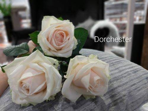 Дорчестер (Dorchester)