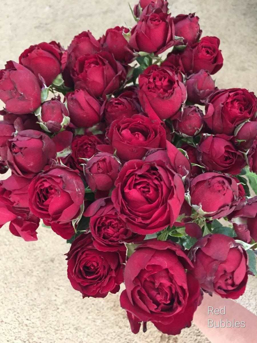 Ред бабблз (Red Bubbles)