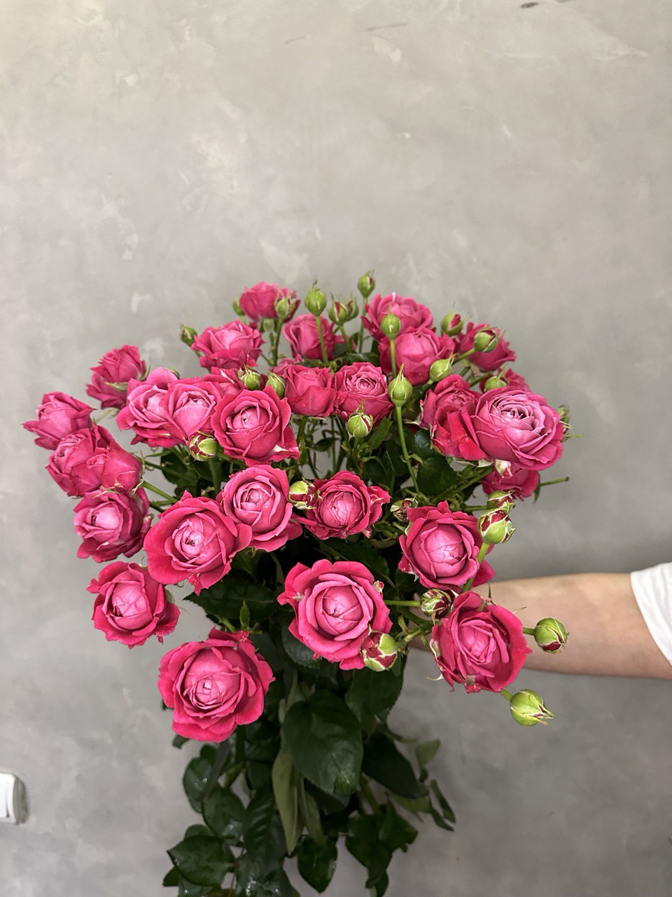 Марвел Баблс (Marvel Bubbles)