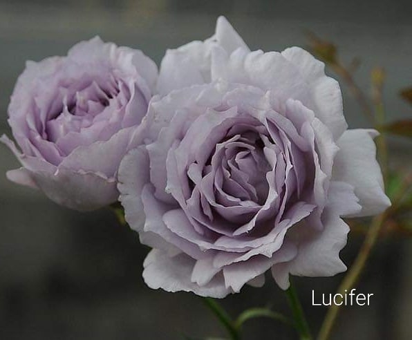 Люцифер, Lucifer,