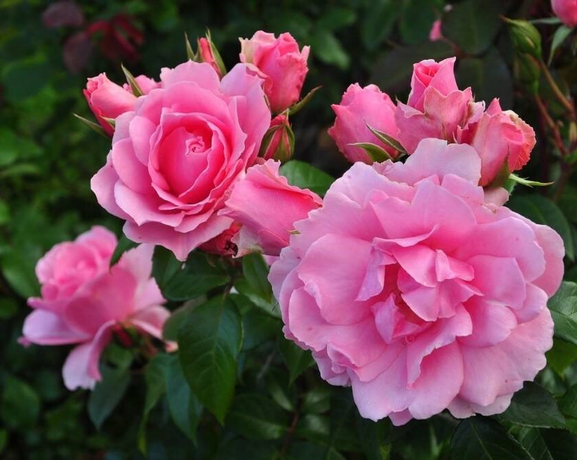 Ю Ар Бьютифул (You're Beautiful)