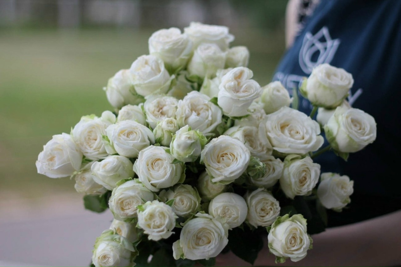 Бомбастик Вайт (Bombastic White)