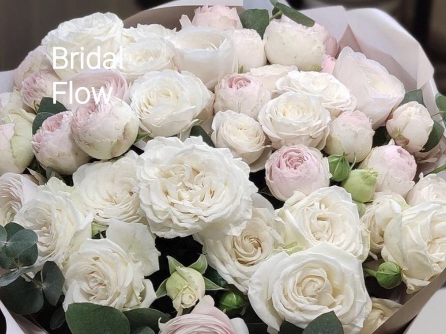 Бридал Флоу (Bridal Flow)