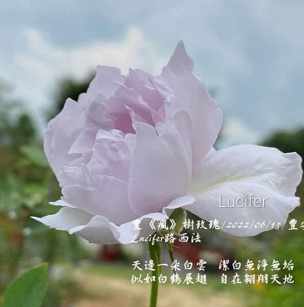 Люцифер, Lucifer,