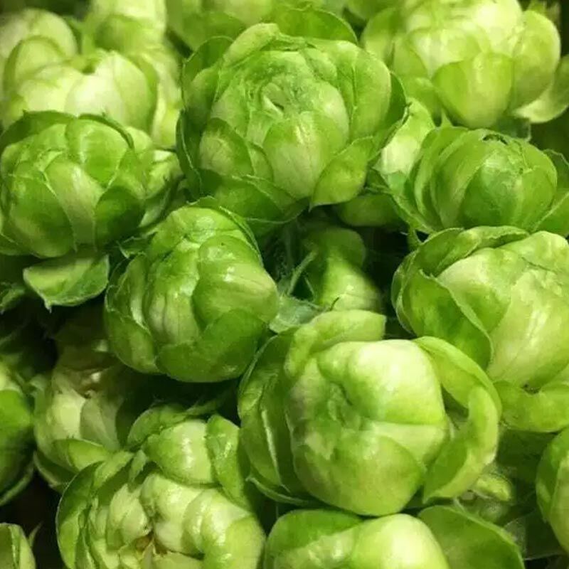 Вайлд Эклер (Wild Eclair)