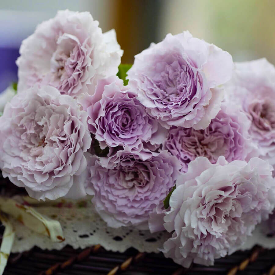 Нью Вейв (New Wave)