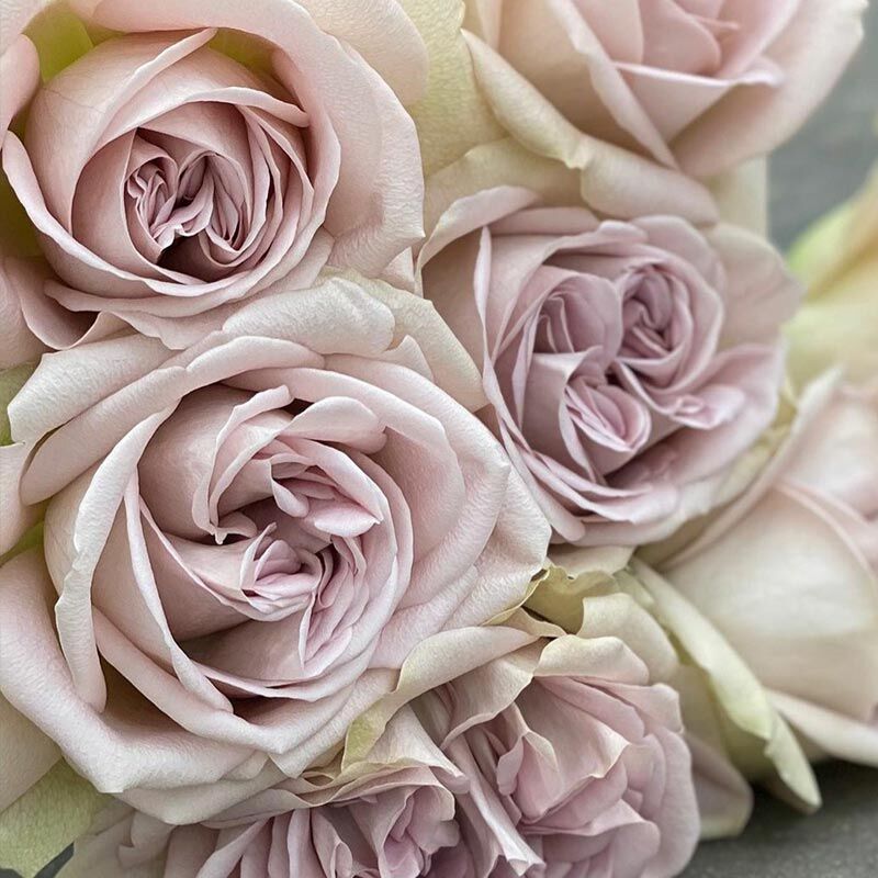 Нотр Дам (Notre Dame GR)