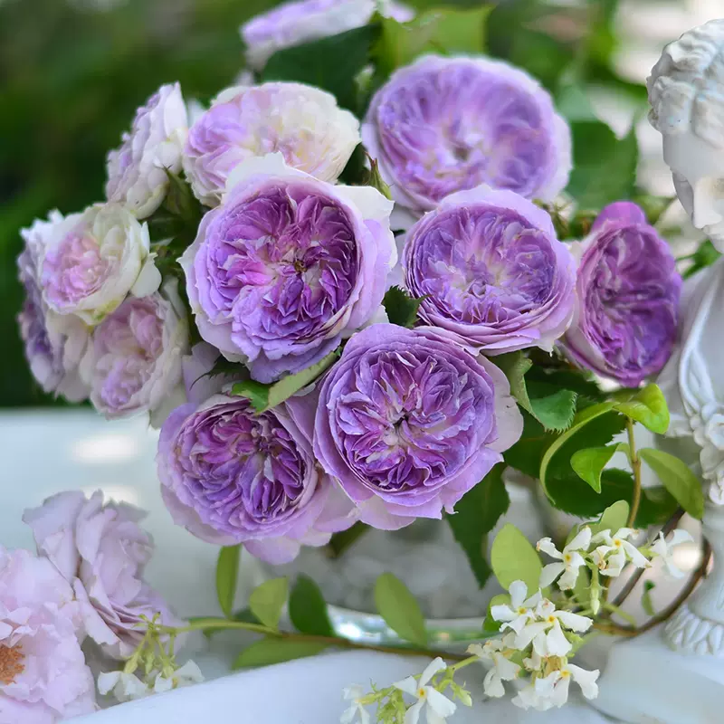 Блу Мун Стоун (Blue Moon Stone)