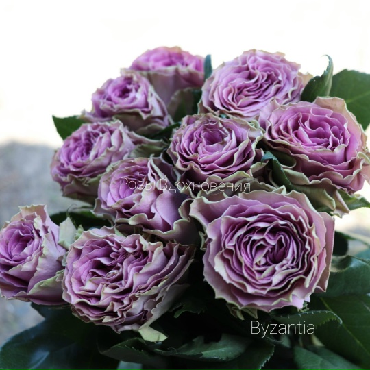 Византия (Byzantine)