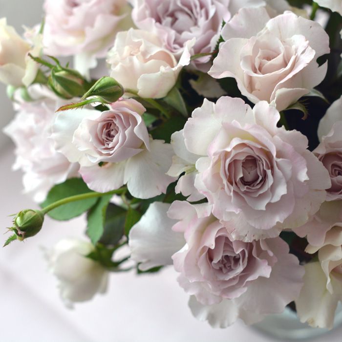 Сапфирет (Saphiret)